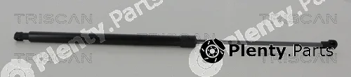 Triscan 871038248 — Gas Spring, boot/cargo area