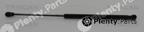 Triscan 871029286 — Gas Spring, boot/cargo area