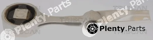 Triscan 850529106 — Mounting, engine