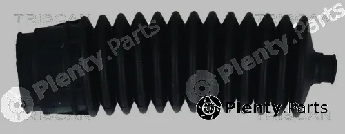 Triscan 850010011 — Bellow Kit, steering
