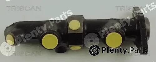 Triscan 813010110 — Brake Master Cylinder