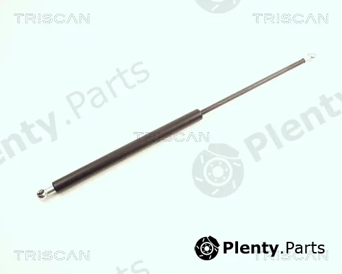 Triscan 871025222 — Gas Spring, boot/cargo area