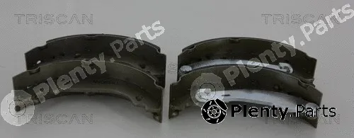 Triscan 810025002 — Brake Shoe Set