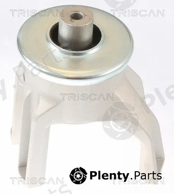 Triscan 850529187 — Mounting, engine