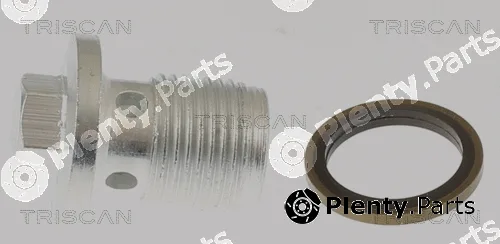 Triscan 95002406 — Screw Plug, oil sump