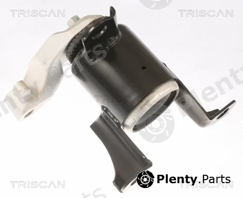 Triscan 850516108 — Mounting, engine