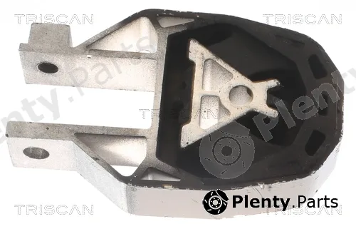 Triscan 850510204 — Mounting, engine