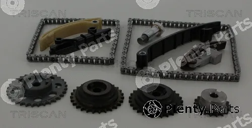 Triscan 865029020 — Timing Chain Kit