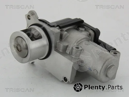Triscan 881329002 — EGR Valve