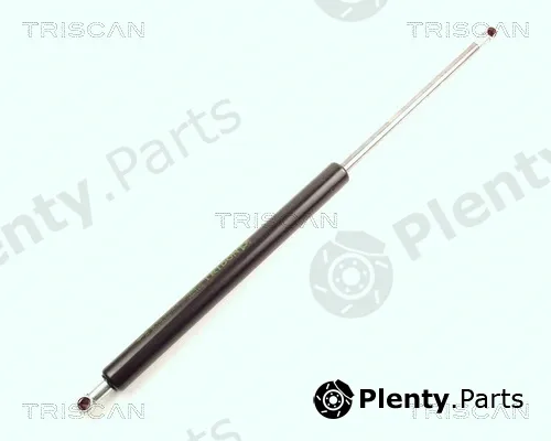 Triscan 871021200 — Gas Spring, boot/cargo area