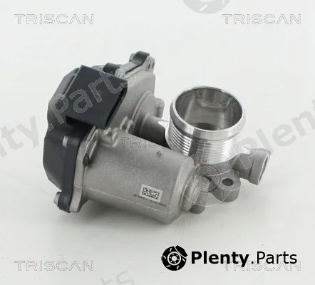 Triscan 871029316 — Gas Spring, boot/cargo area