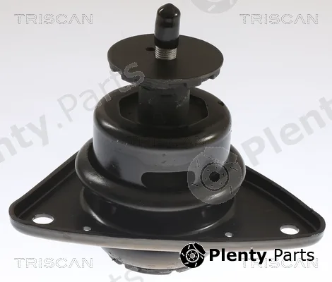 Triscan 850543101 — Mounting, engine
