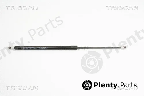 Triscan 871010208 — Gas Spring, boot/cargo area