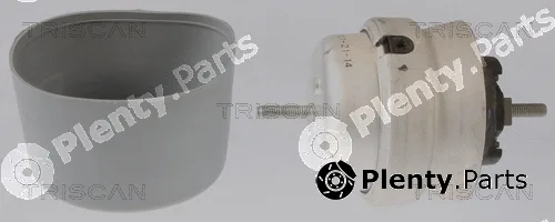 Triscan 850529108 — Mounting, engine
