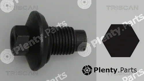 Triscan 95001009 — Screw Plug, oil sump