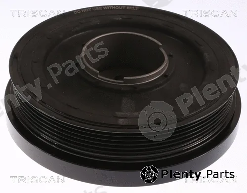 Triscan 864311010 — Belt Pulley, crankshaft