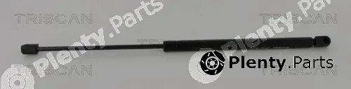 Triscan 871040203 — Gas Spring, boot/cargo area