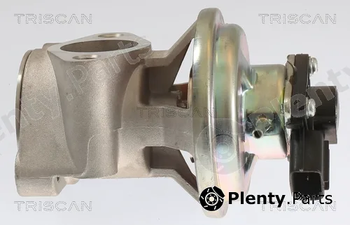 Triscan 881342003 — EGR Valve