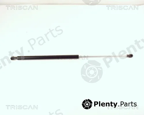 Triscan 871015218 — Gas Spring, boot/cargo area