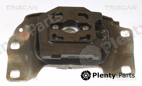 Triscan 850516109 — Mounting, engine
