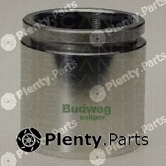 Triscan 8170234845 — Piston, brake caliper