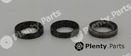 Triscan 855010059 — Shaft Seal Set, engine
