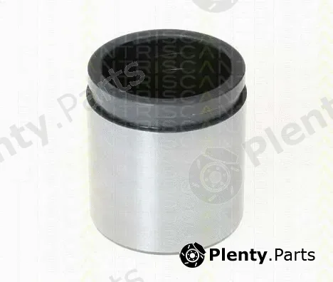 Triscan 8170234862 — Piston, brake caliper