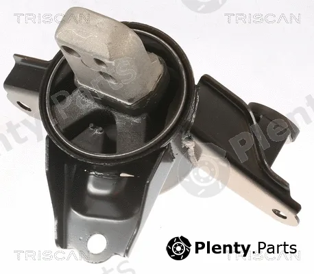 Triscan 850543108 — Mounting, engine