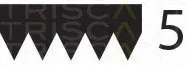 Triscan 8640501810 — V-Ribbed Belt