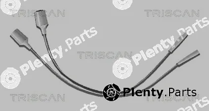 Triscan 88603166 — Ignition Cable Kit