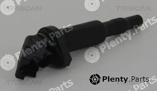 Triscan 886011013 — Ignition Coil