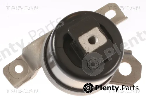 Triscan 850527107 — Mounting, engine