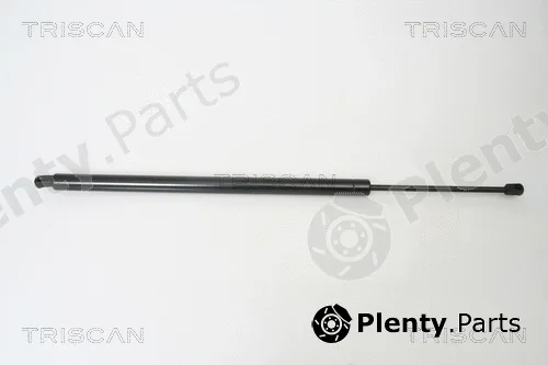 Triscan 871029263 — Gas Spring, boot/cargo area
