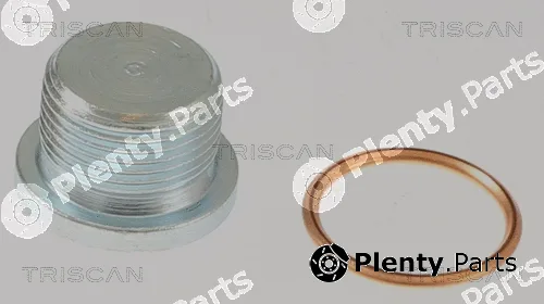 Triscan 95001007 — Screw Plug, oil sump