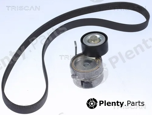 Triscan 864210022 — V-Ribbed Belt Set