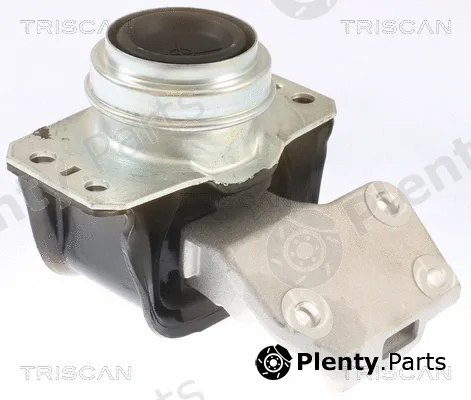 Triscan 850528112 — Mounting, engine