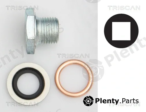 Triscan 95001006 — Screw Plug, oil sump