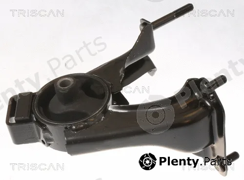 Triscan 850513104 — Mounting, engine