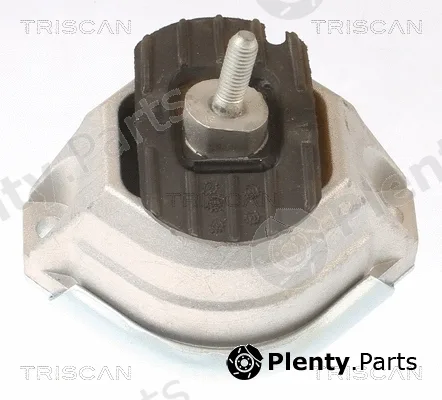 Triscan 850511114 — Mounting, engine