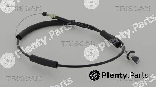 Triscan 814021301 — Accelerator Cable