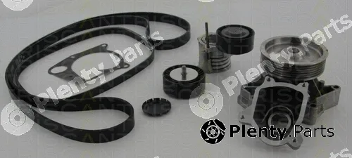 Triscan 8642110502 — Water Pump + V-Ribbed Belt Kit