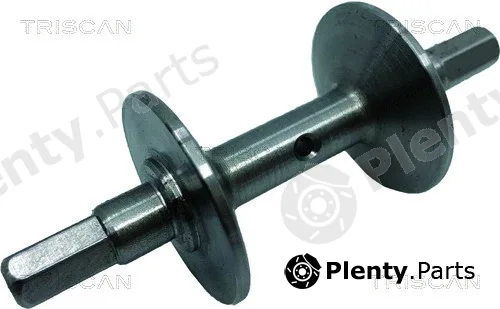 Triscan 3062 — Repair Kit, stone chip (windscreen)