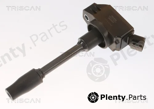 Triscan 886013041 — Ignition Coil