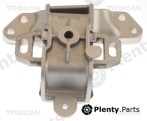 Triscan 850528118 — Mounting, engine