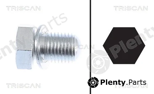 Triscan 95002903 — Screw Plug, oil sump