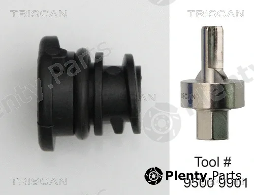 Triscan 95002901 — Screw Plug, oil sump