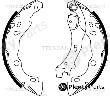 Triscan 810010009 — Brake Shoe Set