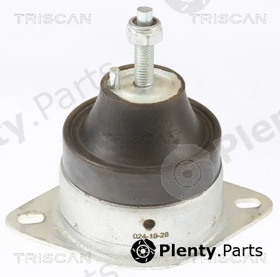 Triscan 850510119 — Mounting, engine