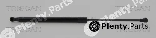 Triscan 871011294 — Gas Spring, boot/cargo area
