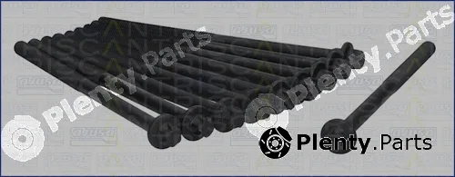 Triscan 98-5500 — Cylinder Head Bolt Set